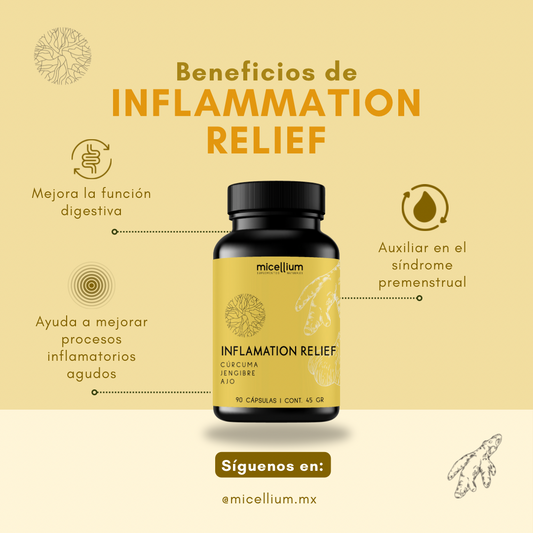 Paquete de Adaptógenos Micellium