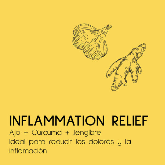 INFLAMMATION RELIEF (CURCUMA & JENGIBRE) MICELLIUM
