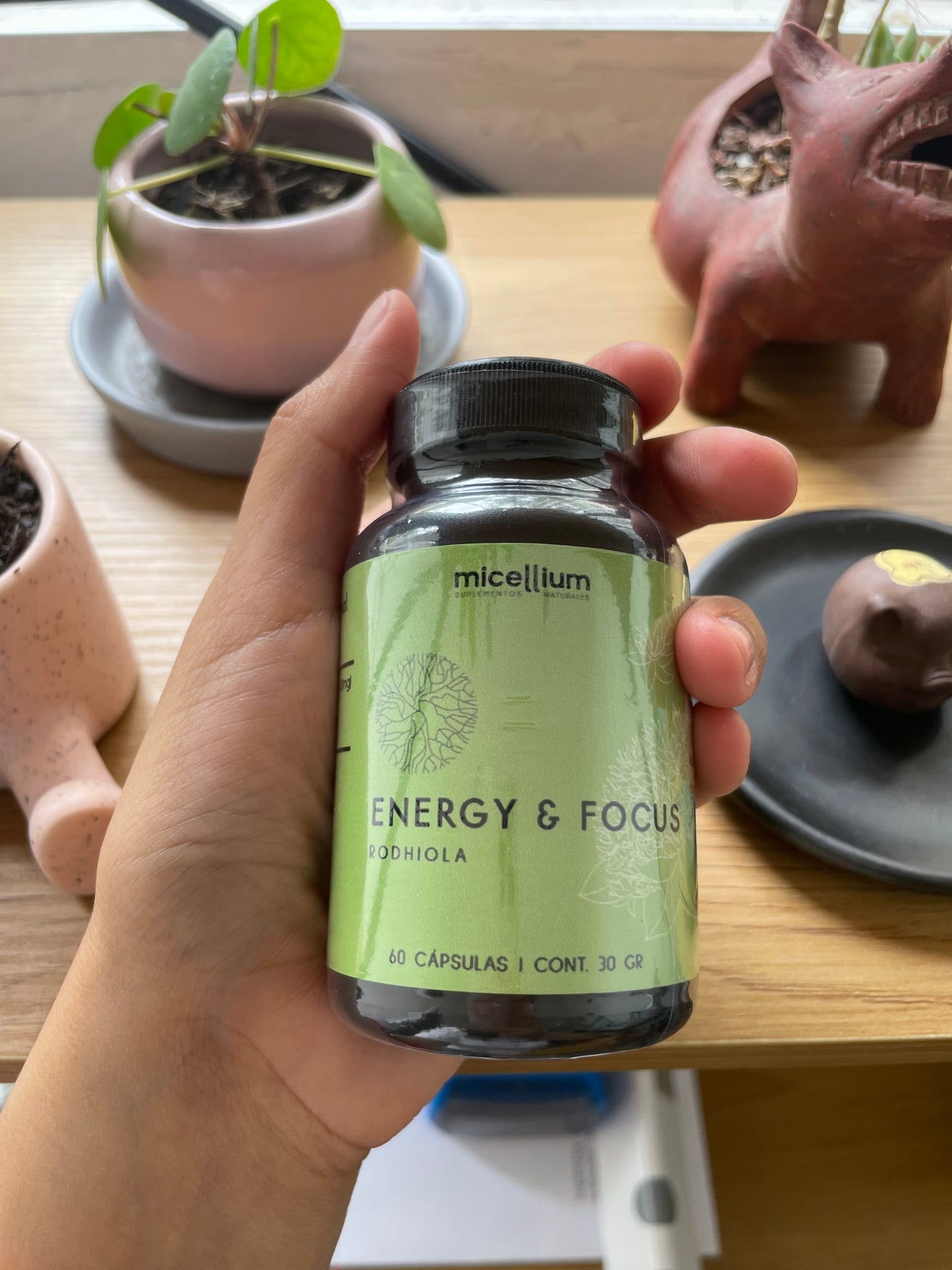 ENERGY & FOCUS (RHODIOLA) MICELLIUM