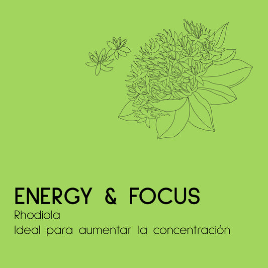 ENERGY & FOCUS (RHODIOLA) MICELLIUM