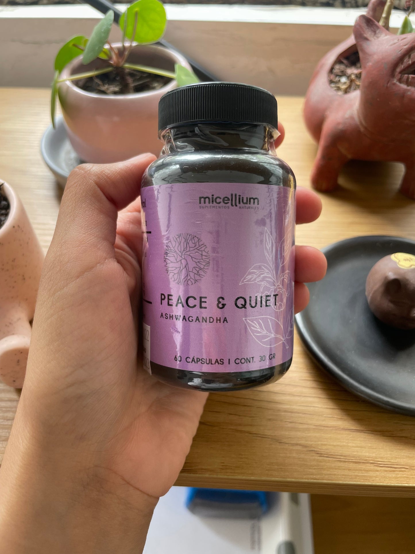 PEACE & QUIET (ASHWAGANDHA) MICELLIUM
