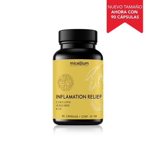 INFLAMMATION RELIEF (CURCUMA & JENGIBRE) MICELLIUM