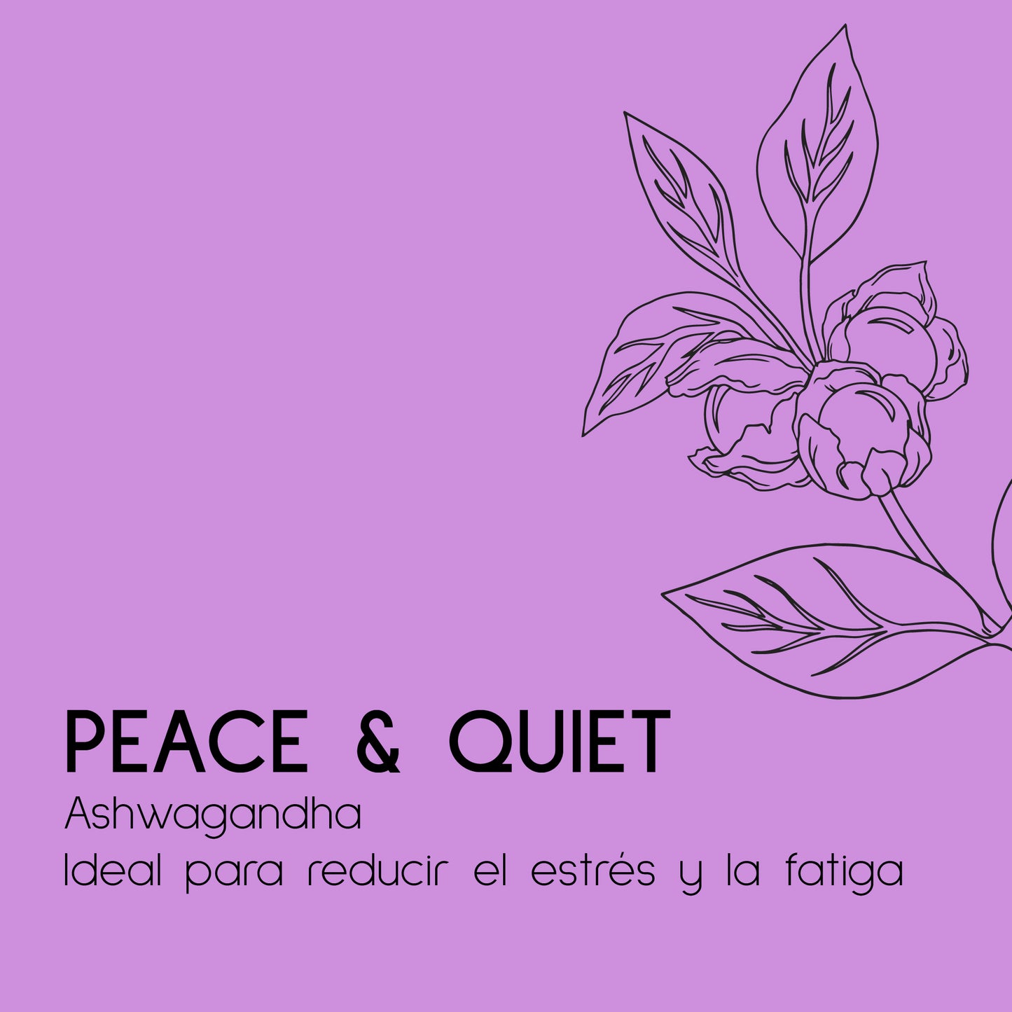 PEACE & QUIET (ASHWAGANDHA) MICELLIUM
